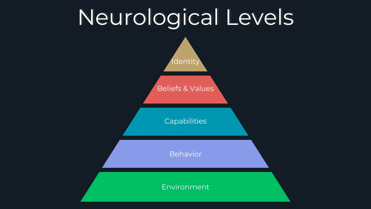 Dilts Pyramid showing neurological levels from environment to spirituality