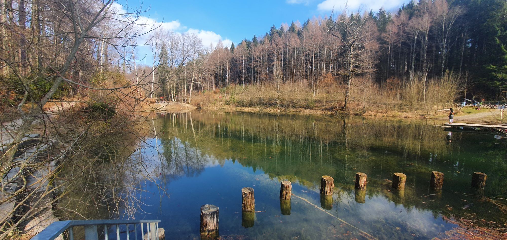 A lake with trees in the background - perfect for an ice bath