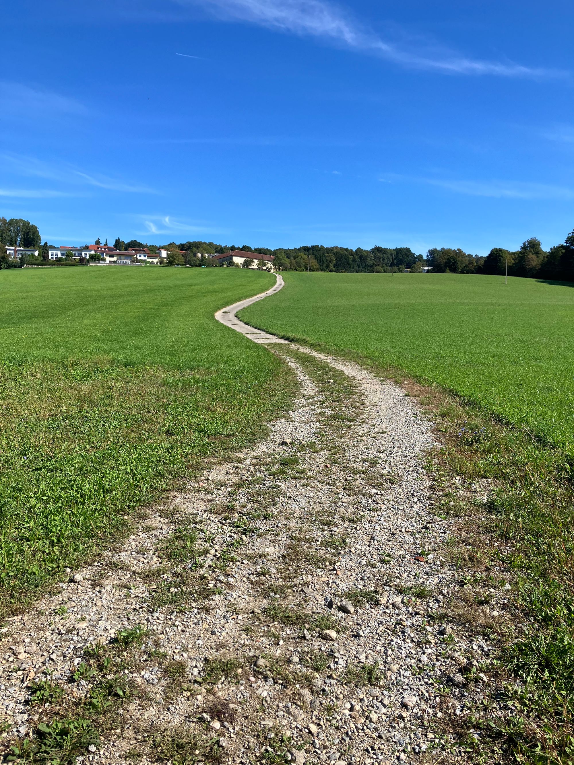 stony road while sun is shining