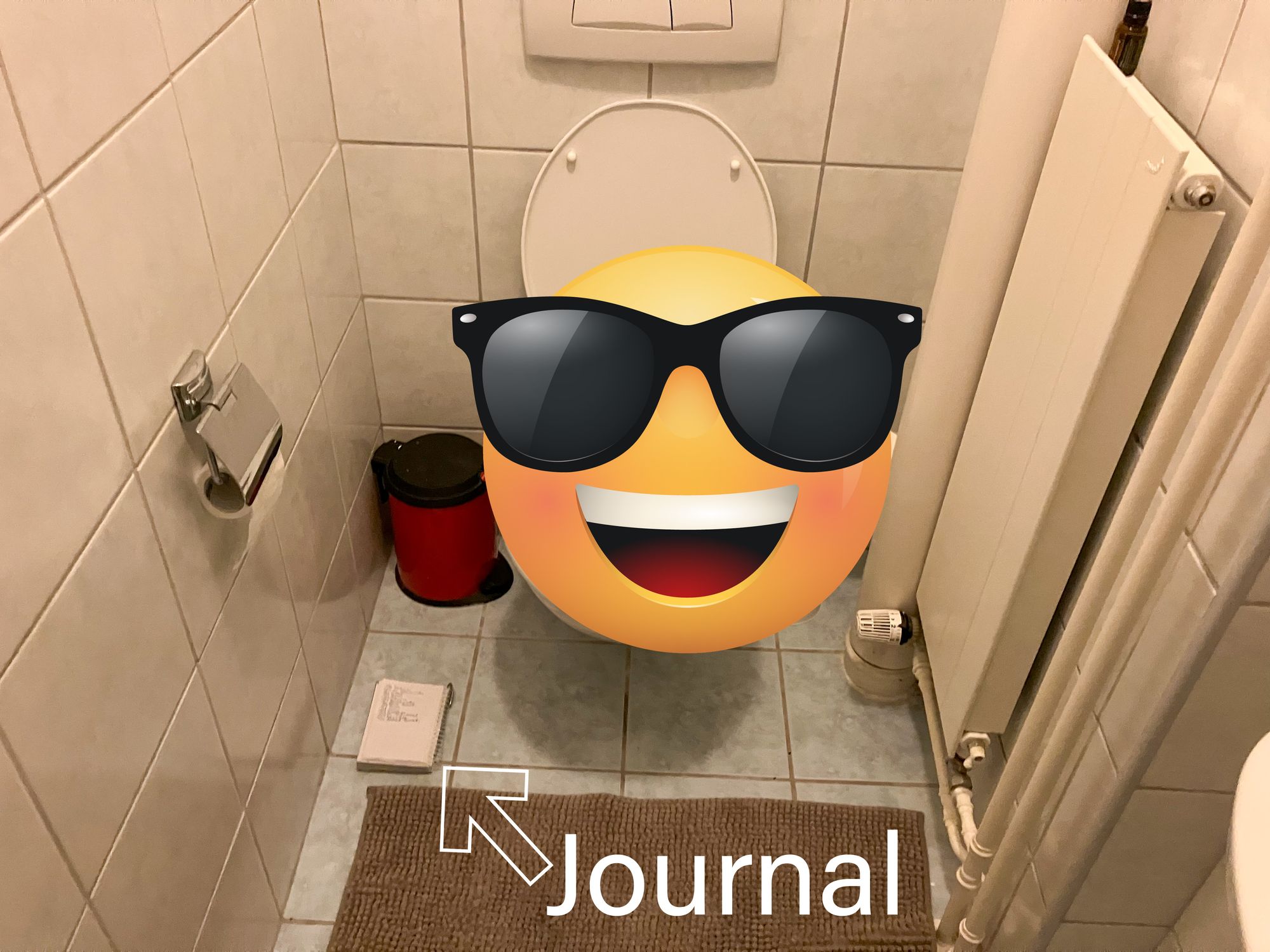 i placed the journal next to the toilet 