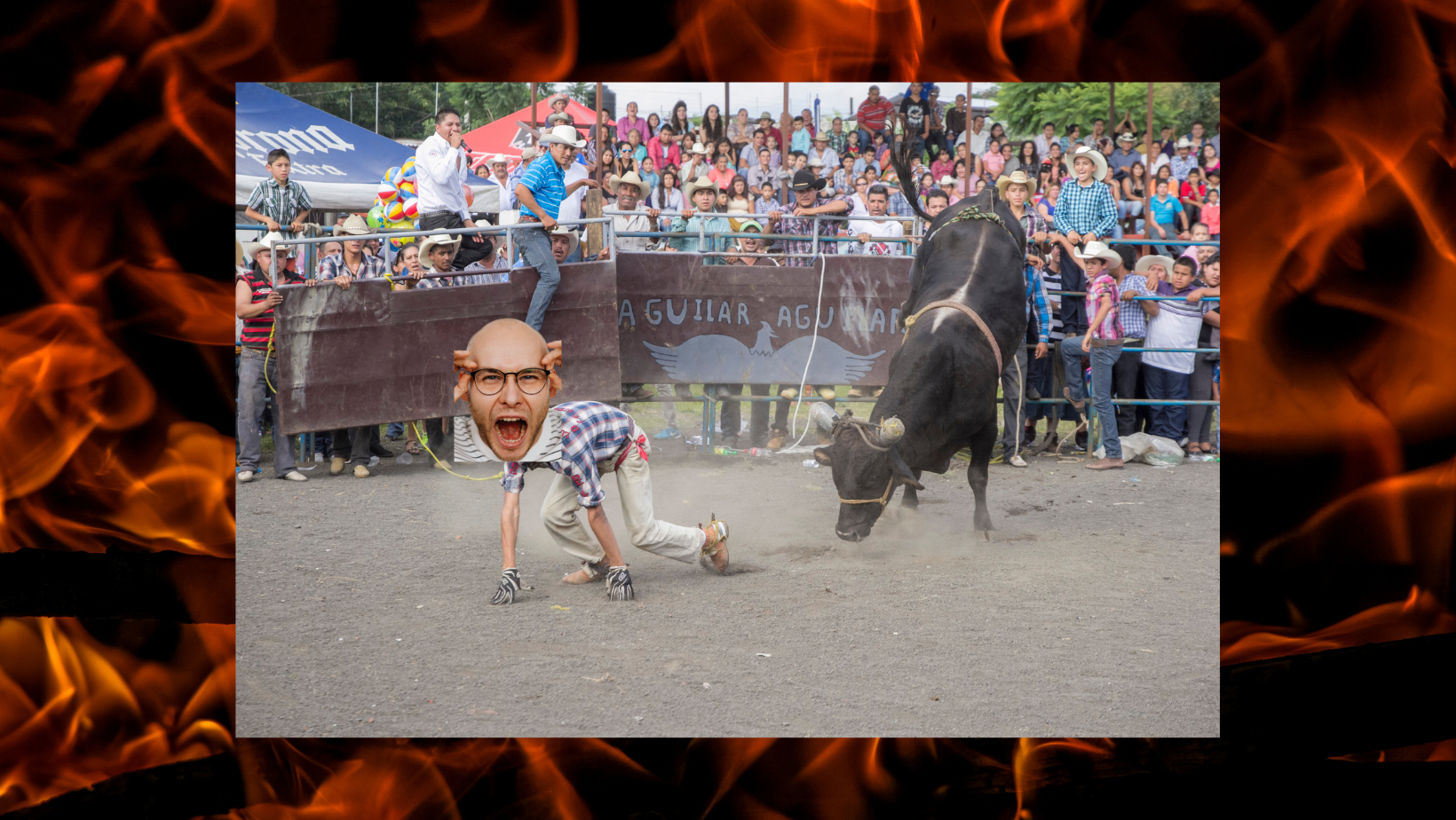 a person trying to ride a big and muscular bull