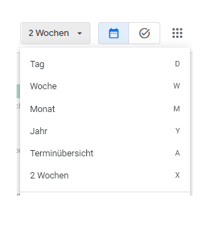 2 weeks view google calendar costumized
